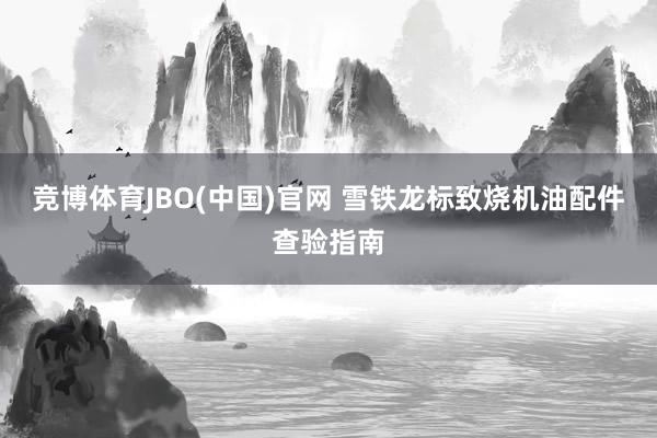 竞博体育JBO(中国)官网 雪铁龙标致烧机油配件查验指南