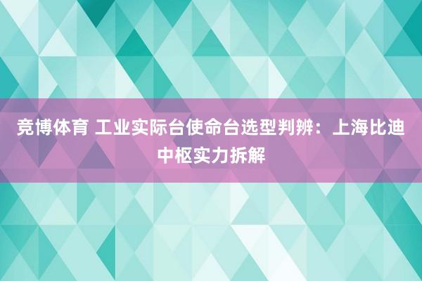 竞博体育 工业实际台使命台选型判辨：上海比迪中枢实力拆解