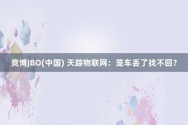 竞博JBO(中国) 天踪物联网：笼车丢了找不回？