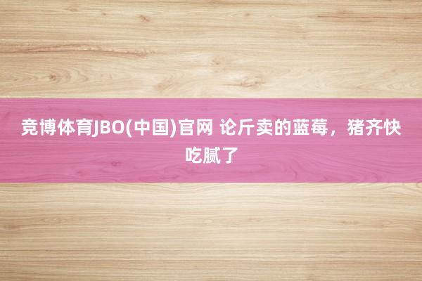 竞博体育JBO(中国)官网 论斤卖的蓝莓，猪齐快吃腻了