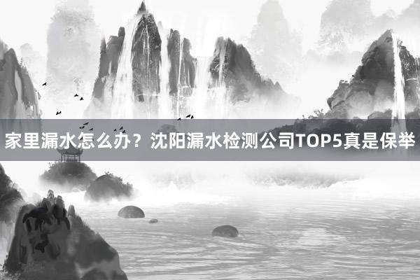 家里漏水怎么办？沈阳漏水检测公司TOP5真是保举