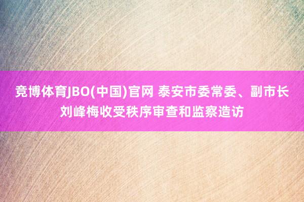 竞博体育JBO(中国)官网 泰安市委常委、副市长刘峰梅收受秩序审查和监察造访