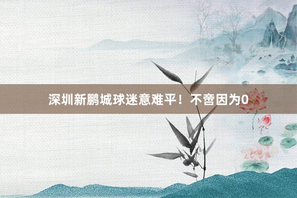 深圳新鹏城球迷意难平！不啻因为0